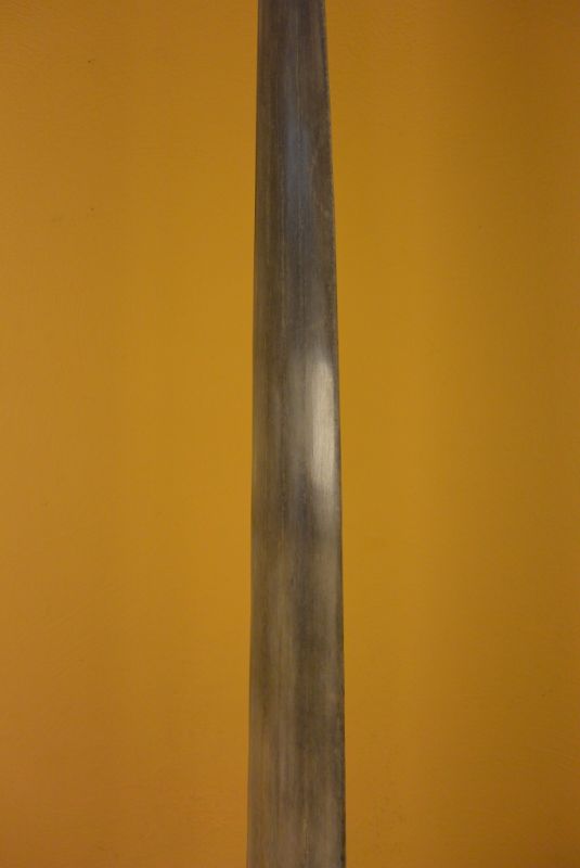 Namensgebendes Schwertfisch 3 5
