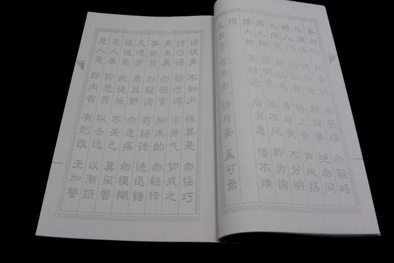 Notizbuch für Kalligraphie - Großes Notizbuch mit Charakteren 2