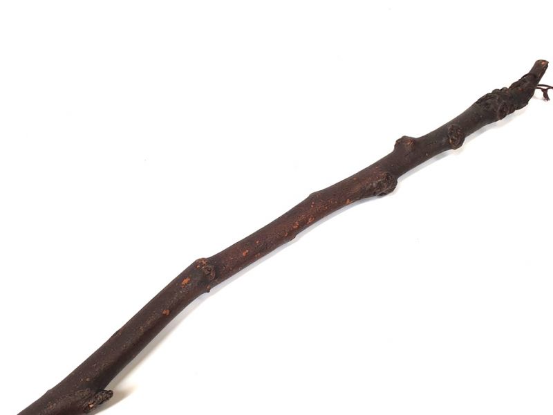 Old Chinese Brush - Wood - Branch of cherrytree 3