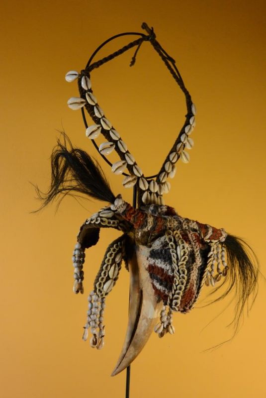 Old Indonesian Tribal Breastplate - Rhinoceros hornbill 4
