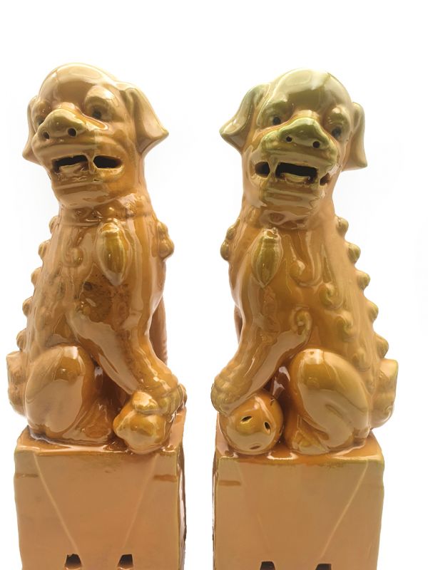 Perros de Fu de porcelana Amarillo 2