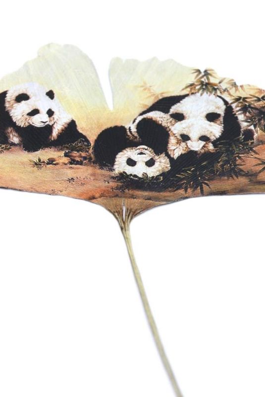 Pintura china en la hoja del árbol - 3 Pandas 3