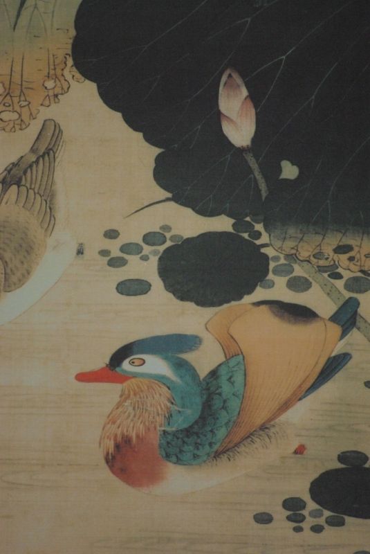 Pintura China sobre seda Pato y flor de loto 5