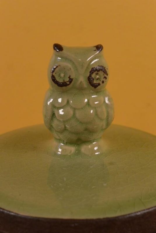Rund chinesische Vase Modernes Porzellan Grün Eulen 2