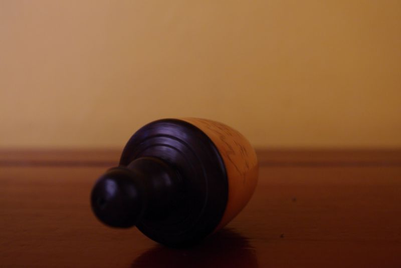 Schnupftabakflasche aus Knochen Fischerei 4