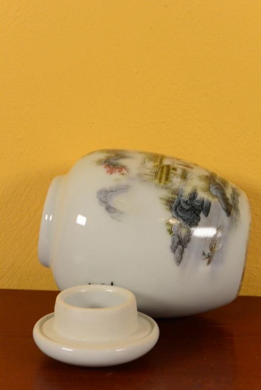 Small Chinese Porcelain Potiche - Colorful - Landscape 4