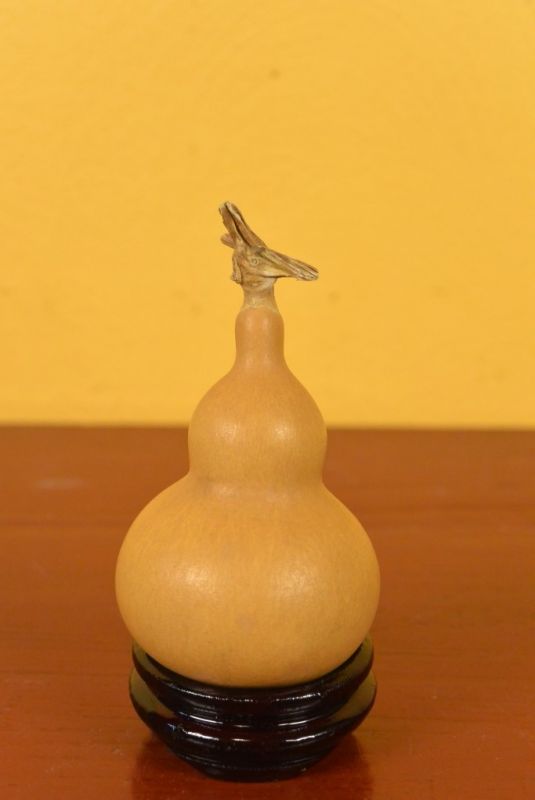 Small Wu Lou Gourd 2