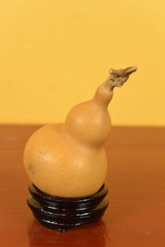 Small Wu Lou Gourd 3