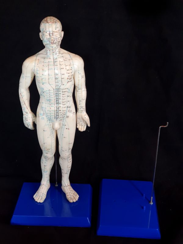 Soporte de plástico para estatua de acupuntura 1