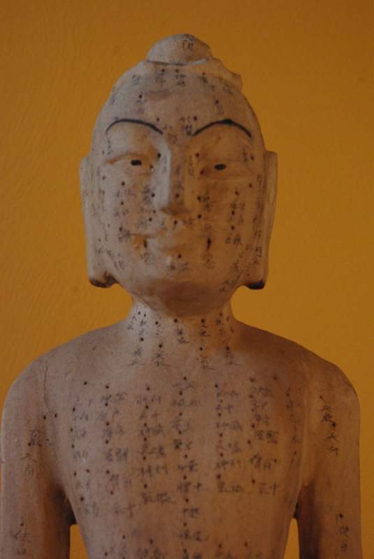 Statue Akupunktur Männlich 3
