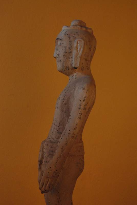 Statue Akupunktur Männlich 4