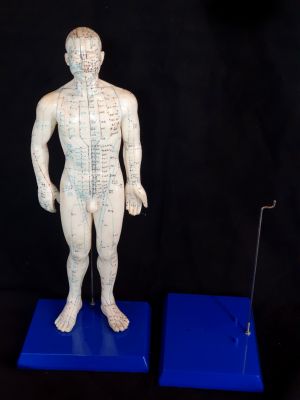 Support en plastique pour statue d'acupuncture
