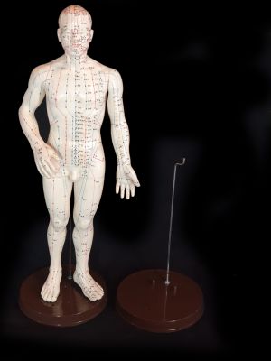 Support en plastique pour statue d'acupuncture