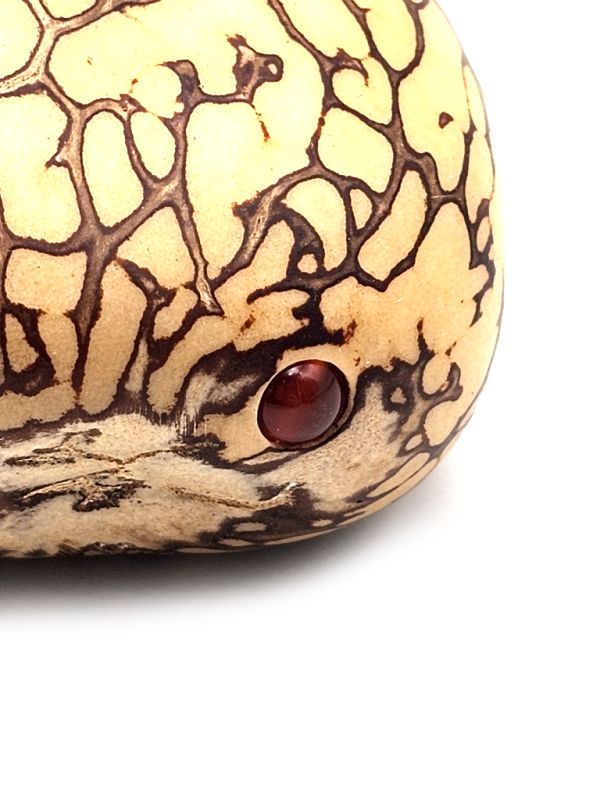 Tagua (Semilla) FengShui cortar semilla 3
