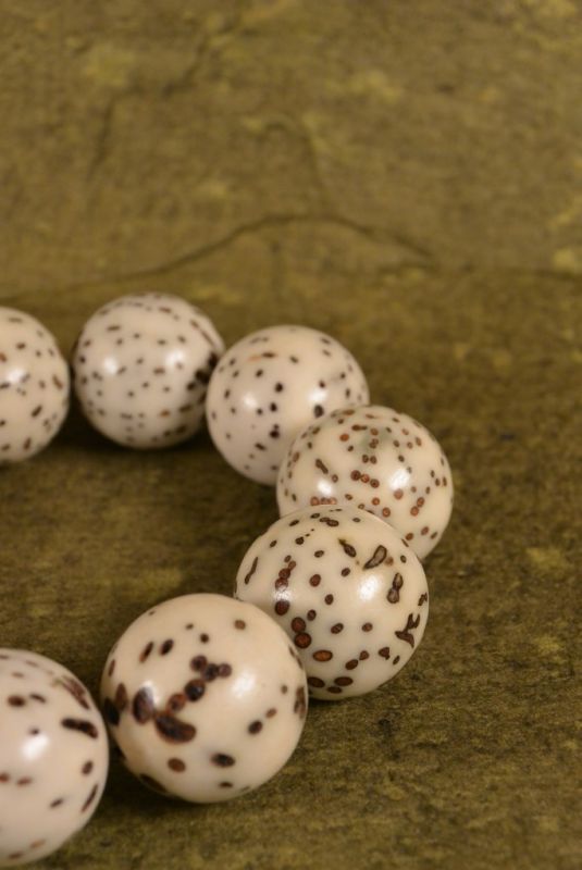 Tagua (Semilla) FengShui Pulseras de perlas 3