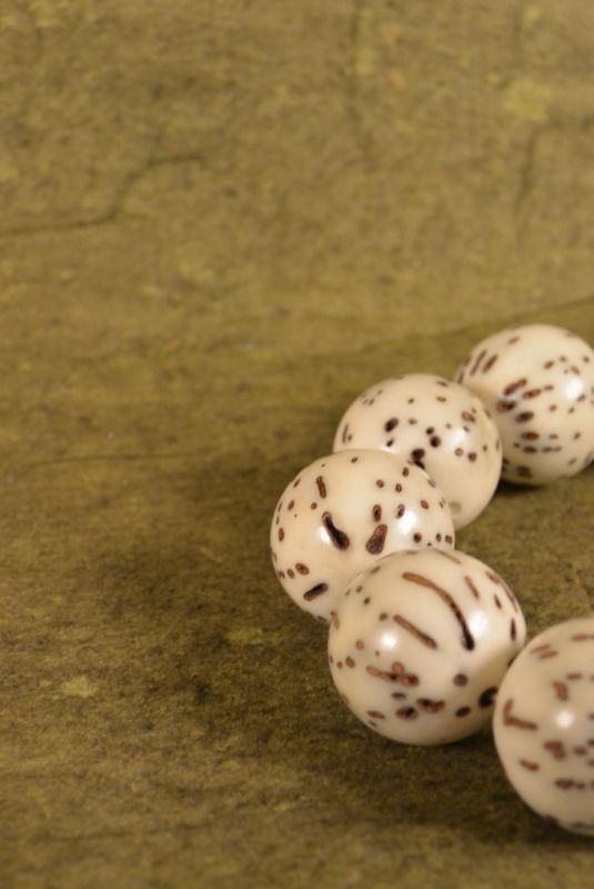 Tagua (Semilla) FengShui Pulseras de perlas 4