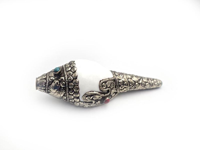 Tibetan Conch or Shankha 1