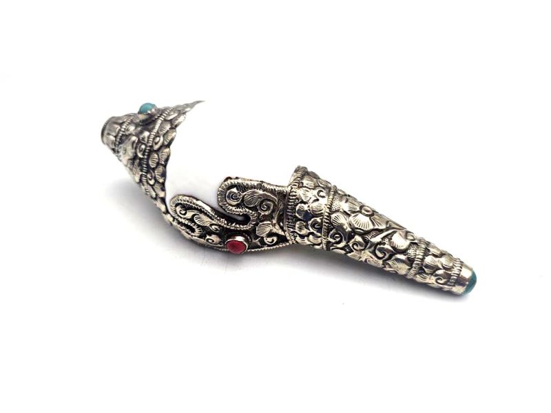 Tibetan Conch or Shankha 2