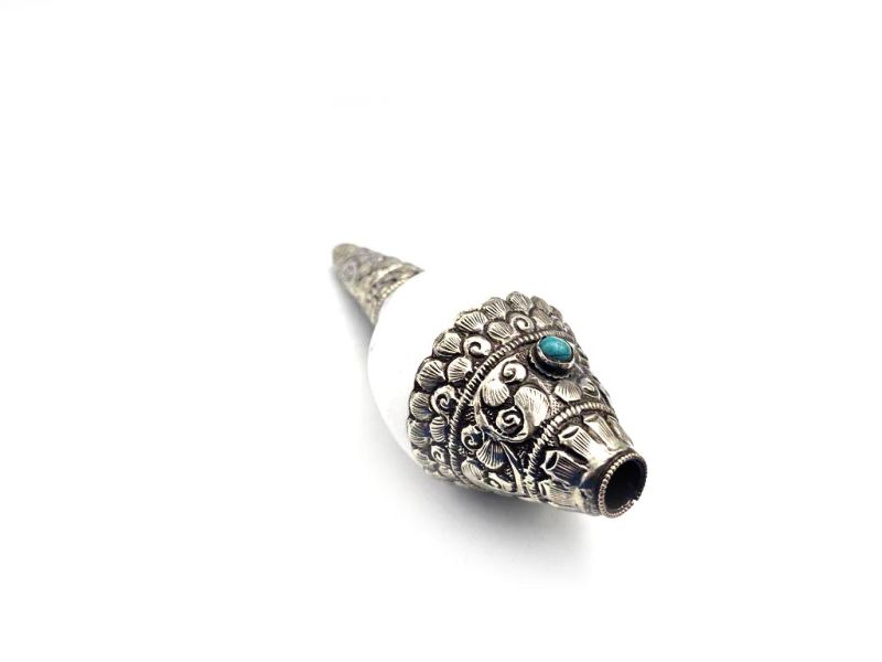 Tibetan Conch or Shankha 3