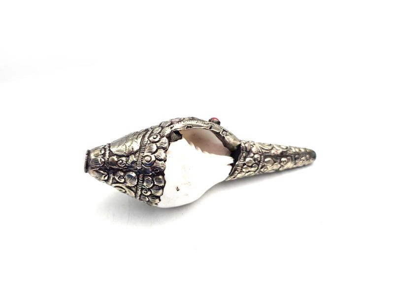 Tibetan Conch or Shankha 4