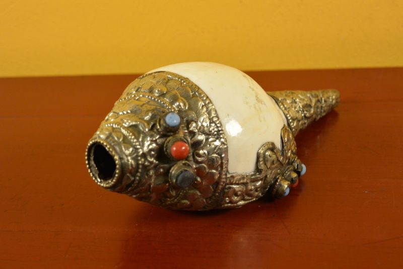 Tibetan Conch Shankha 2