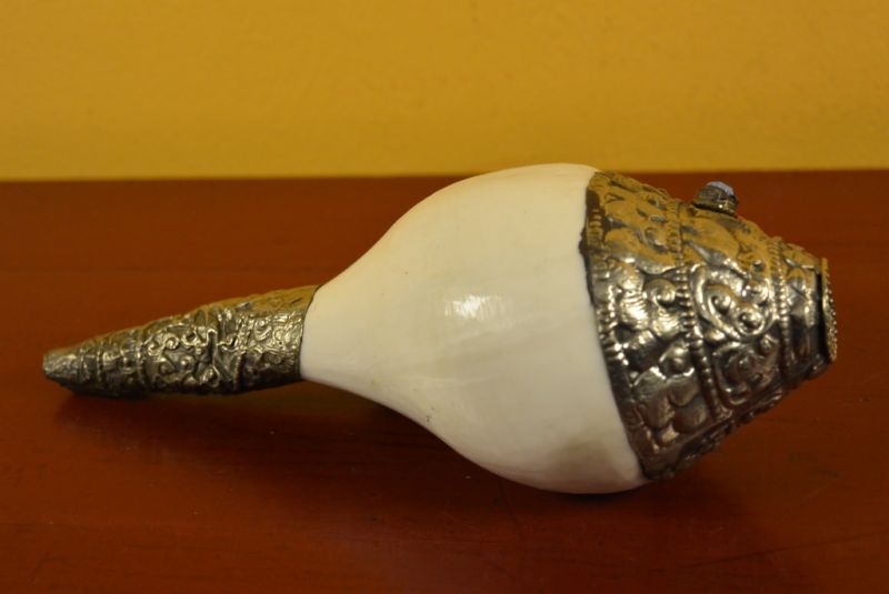 Tibetan Conch Shankha 3