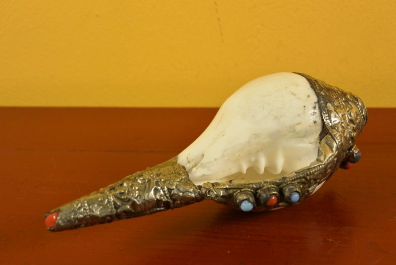 Tibetan Conch Shankha 4