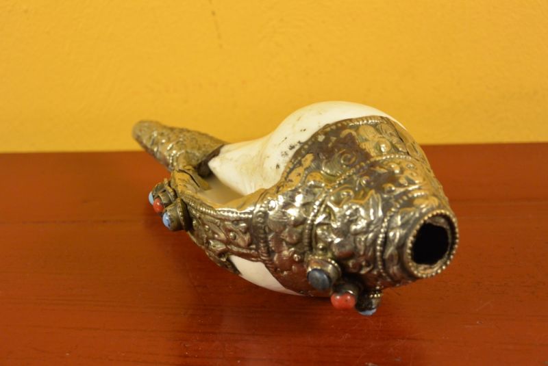 Tibetan Conch Shankha 5