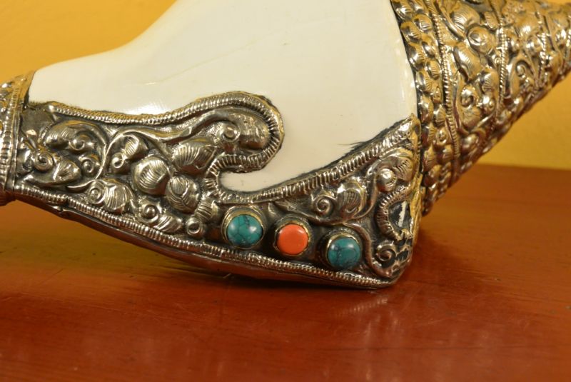 Tibetan Conch Shankha Großartig 2