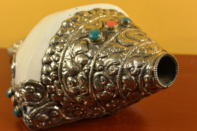 Tibetan Conch Shankha Großartig 3