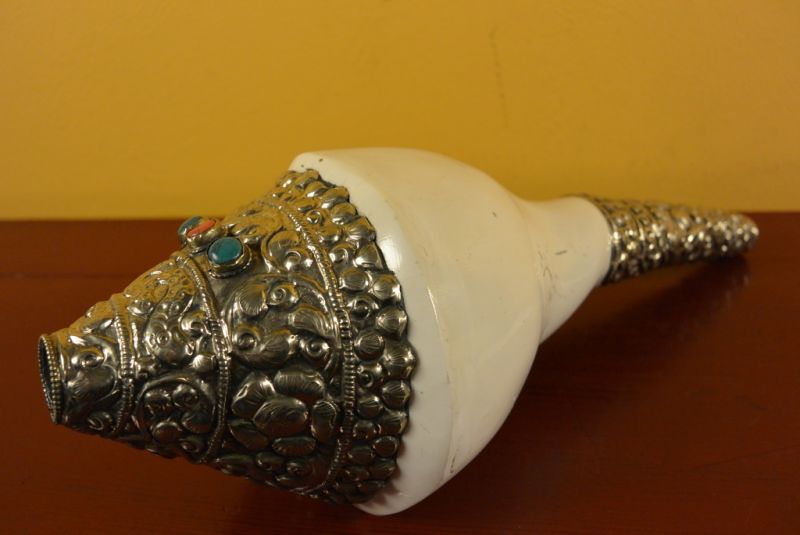 Tibetan Conch Shankha Großartig 4