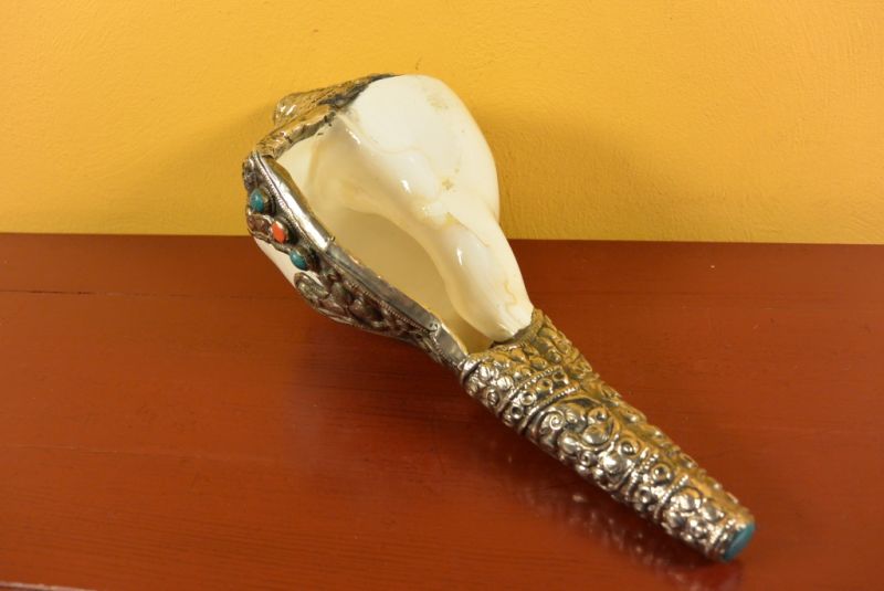Tibetan Conch Shankha Großartig 5