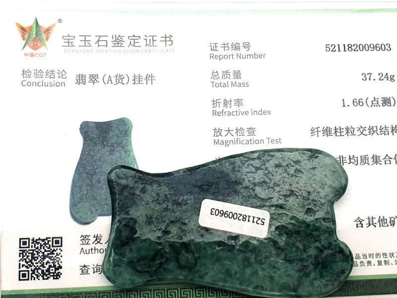 Traditionelle chinesische Medizin - Gua Sha Fisch - Körper und Gesicht - Dunkelgrün / Transparent 2