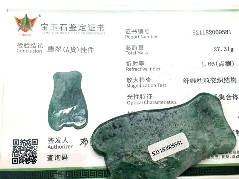 Traditionelle chinesische Medizin - Gua Sha Fisch - Körper und Gesicht - Dunkelgrün / Transparent 2