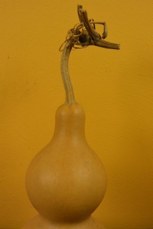 Wu Lou Calabash Feng Shui 2