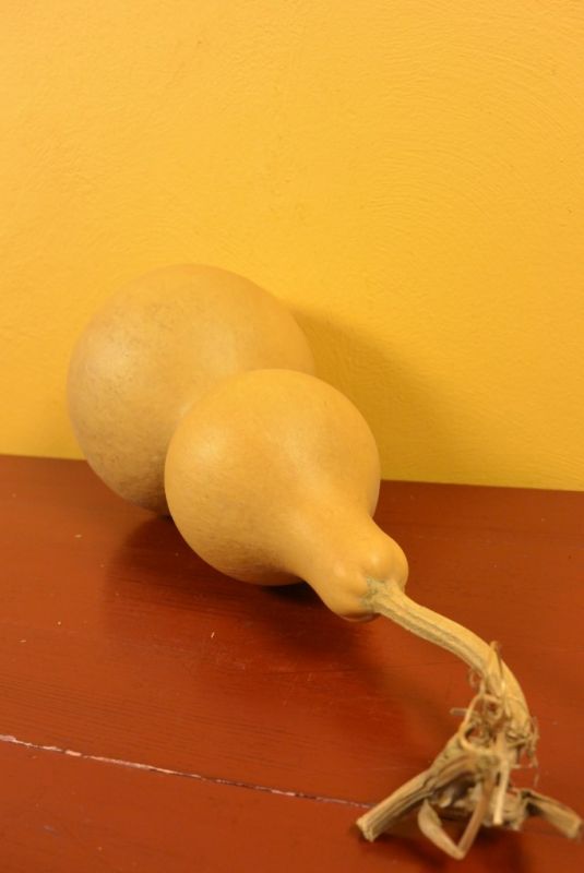 Wu Lou Calabash Feng Shui 4