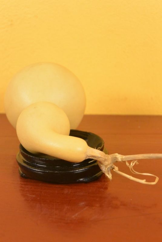 Wu Lou Calabaza Feng Shui 4